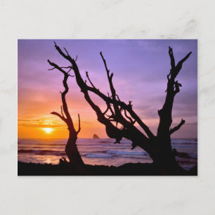 Carte Postale États-Unis, Oregon, Cape Meares. Coucher de soleil