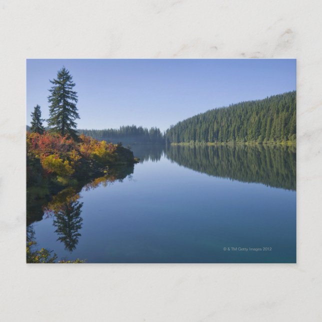 Carte Postale États-Unis, Oregon, Clear Lake (Devant)