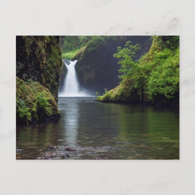 Carte Postale États-Unis, Oregon, Columbia River Gorge 5 (Devant)
