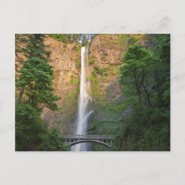 Carte Postale États-Unis, Oregon, Columbia River Gorge, Multnoma (Devant)