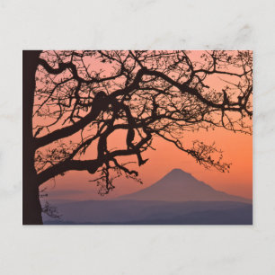 Carte Postale États-Unis, Oregon, Columbia River Gorge National 