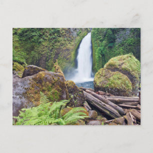 Carte Postale États-Unis, Oregon, Columbia River Gorge, Wahclell