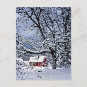 Carte Postale États-Unis, Oregon, comté de Clackamas. Neige fraî