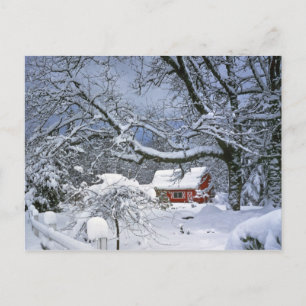 Carte Postale États-Unis, Oregon, comté de Clackamas. Neige fraî