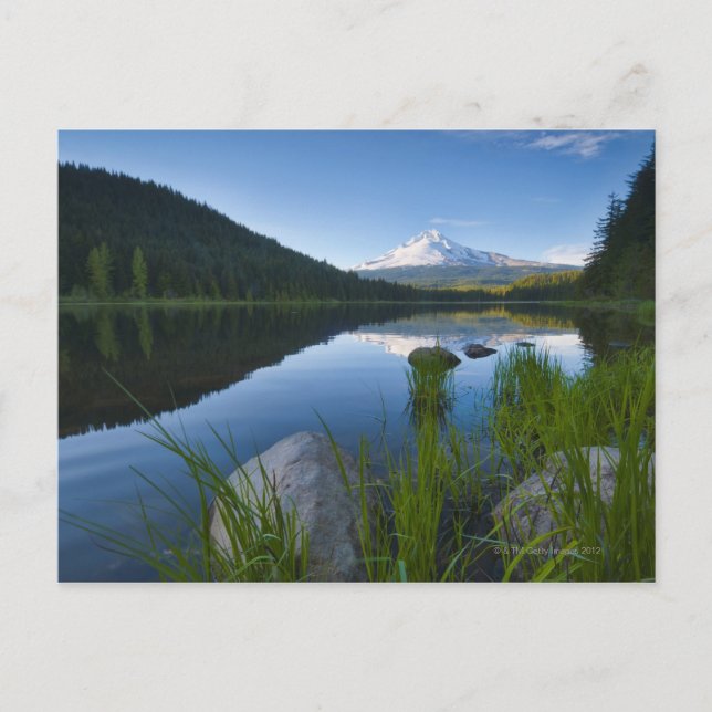 Carte Postale États-Unis, Oregon, Comté de Clackamas, Vue de Tri (Devant)