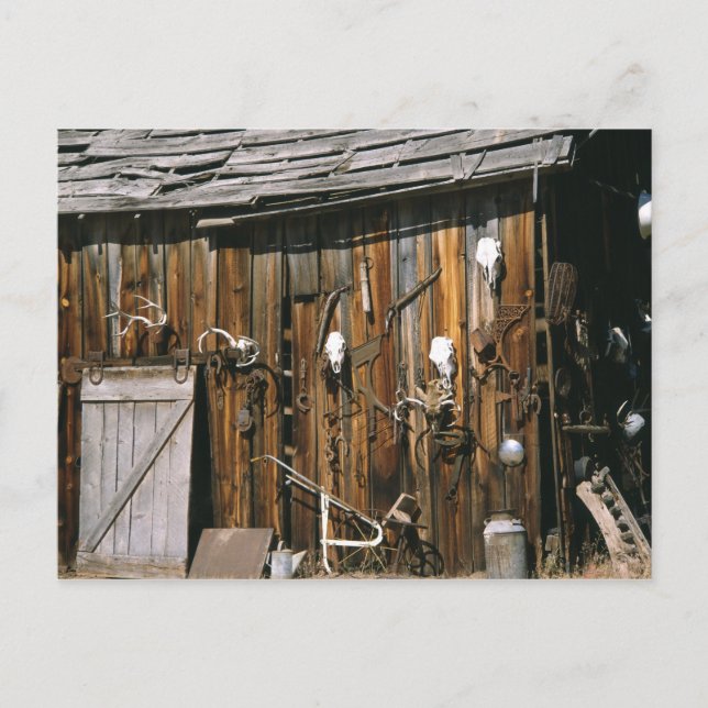 Carte Postale États-Unis, Oregon, comté de Harney. Ancienne stab (Devant)