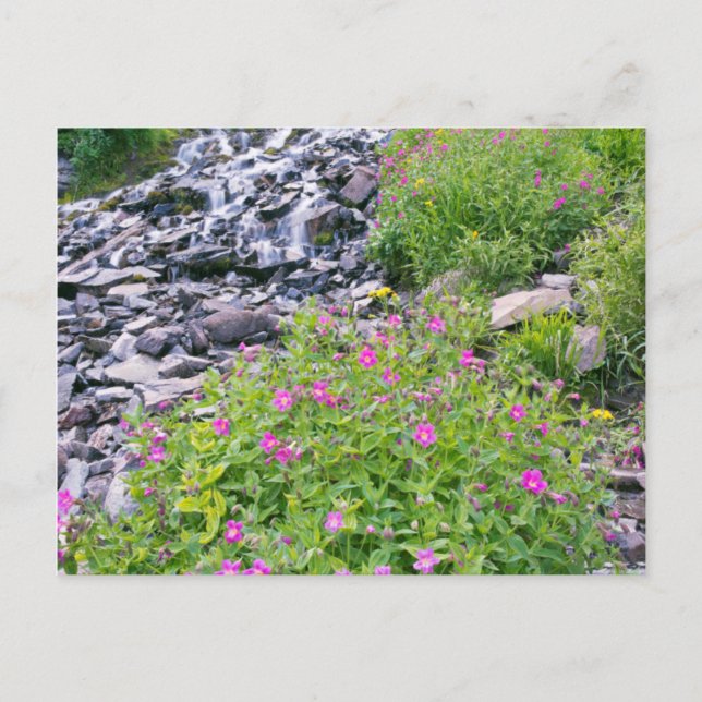 Carte Postale États-Unis, Oregon, Crater Lake National Park (Devant)