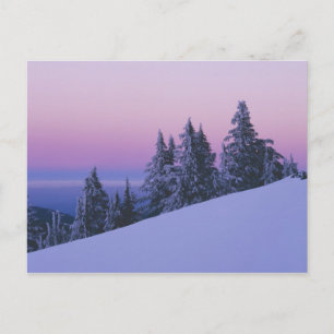 Carte Postale États-Unis, Oregon, Deschutes National Forest, Cré