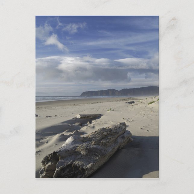 Carte Postale États-Unis, Oregon, Dunes de sable et Océan, Pacif (Devant)