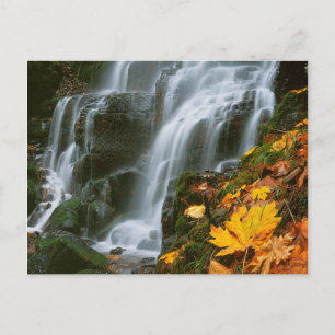 Carte Postale États-Unis, Oregon, Fairy Falls, Columbia River Go