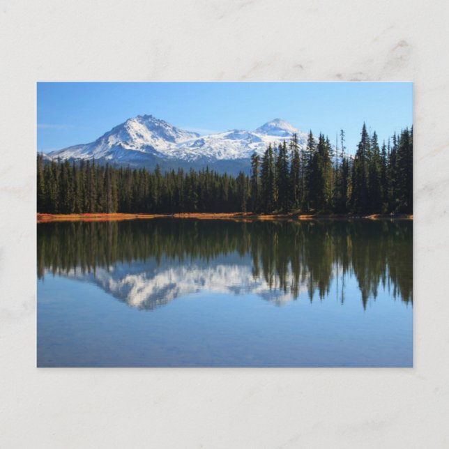 Carte Postale États-Unis, Oregon, Forêt nationale de Willamette  (Devant)