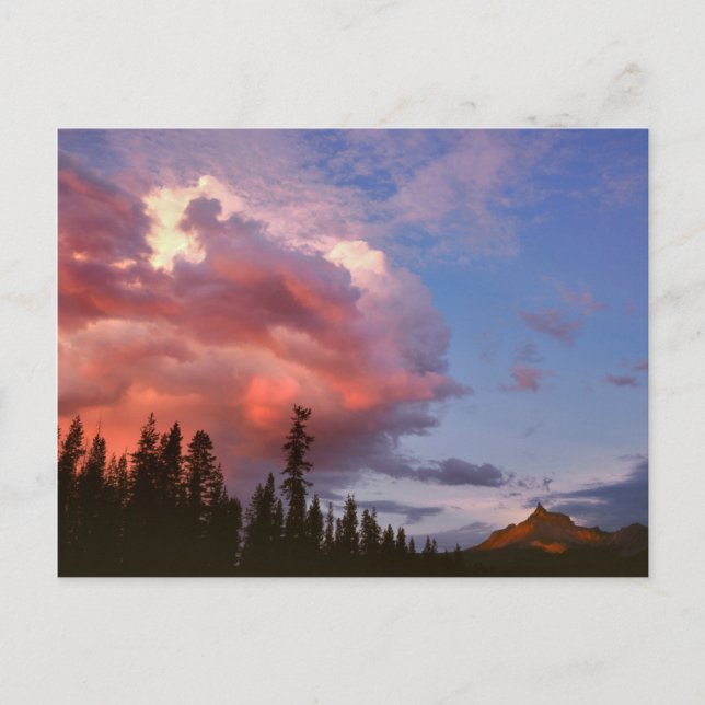 Carte Postale États-Unis, Oregon, Forêt nationale d'Umpqua. Temp (Devant)