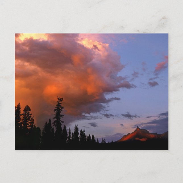 Carte Postale États-Unis, Oregon, Forêt nationale d'Umpqua. Temp (Devant)