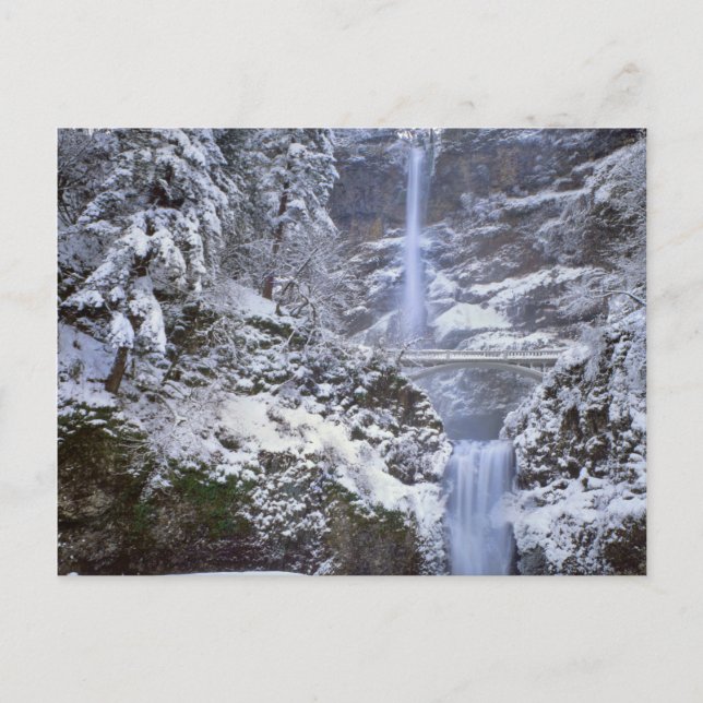 Carte Postale États-Unis, Oregon, Gorge de Columbia (Devant)