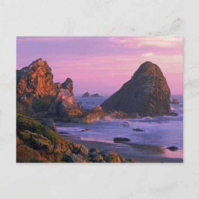 Carte Postale États-Unis, Oregon, Harris State Beach, Brookings. (Devant)