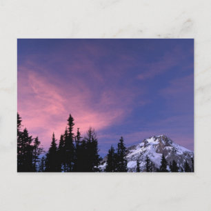 Carte Postale États-Unis, Oregon, Mont Hood depuis Timberline