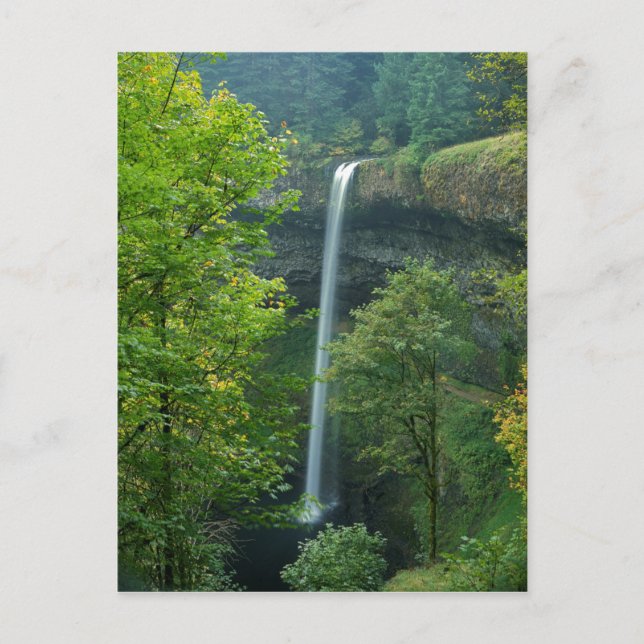 Carte Postale États-Unis, Oregon, Silver Falls State Park (Devant)