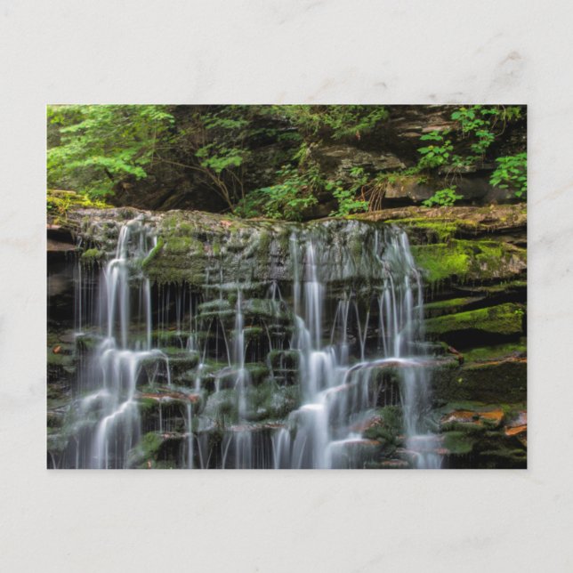 Carte Postale États-Unis, Pennsylvanie, Benton. Cascade à Ricket (Devant)