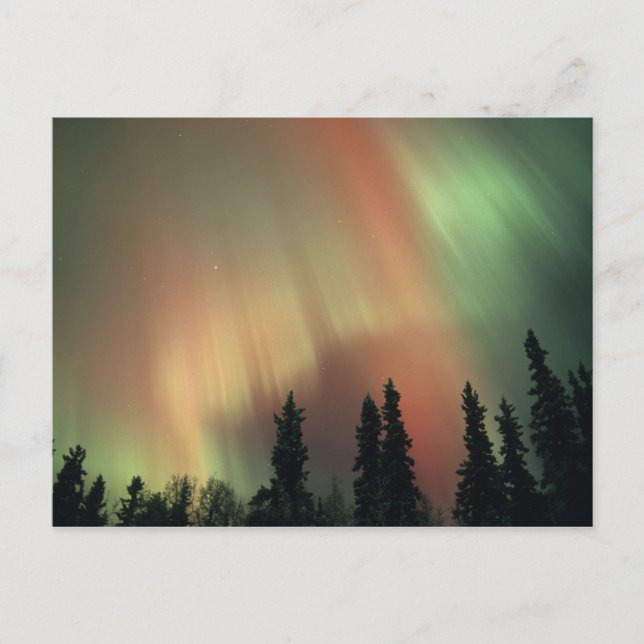 Carte Postale États-Unis, région de Fairbanks, Alaska central, A (Devant)