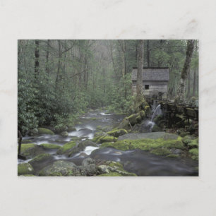 Carte Postale États-Unis, Tennessee, Great Smoky Mountains Natio