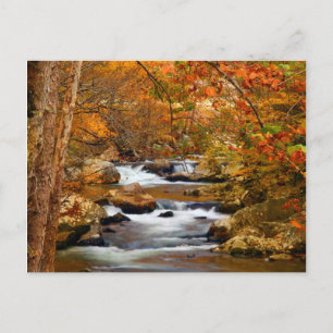 Carte Postale États-Unis, Tennessee. Rushing Mountain Creek