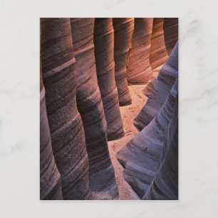 Carte Postale États-Unis, Utah, Escalante. Grès répétitif