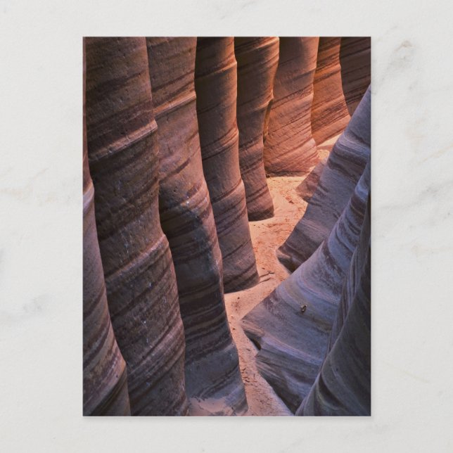 Carte Postale États-Unis, Utah, Escalante. Grès répétitif (Devant)