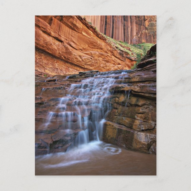 Carte Postale États-Unis, Utah, Escalante Wilderness. Cascade da (Devant)