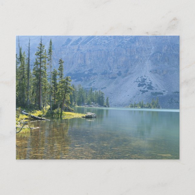 Carte Postale États-Unis, Utah, forêt nationale d'Ashley, High U (Devant)