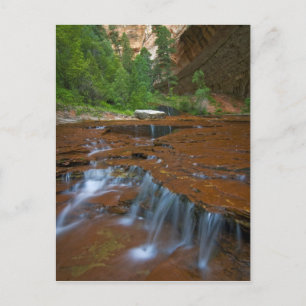 Carte Postale États-Unis, Utah, Parc national de Zion. Scénique
