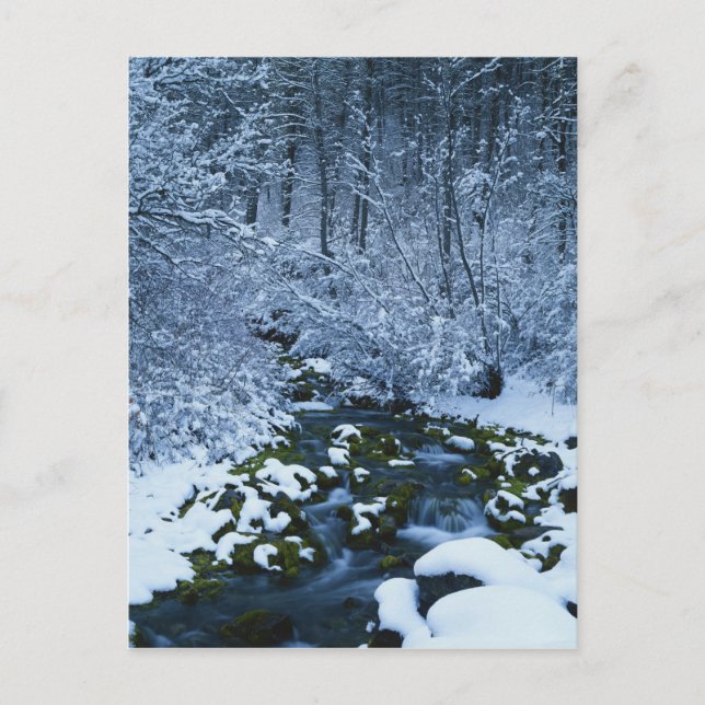 Carte Postale États-Unis, Utah, Wasatch-Catch National Forest, (Devant)