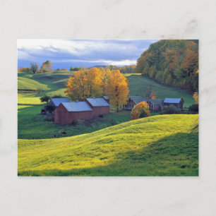 Carte Postale États-Unis, Vermont, Jenne Farm. Collines vertes o