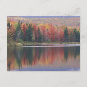 Carte Postale États-Unis, Vermont, McAllister Lake, près de Haze