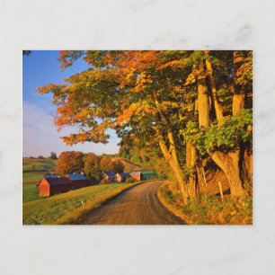 Carte Postale États-Unis, Vermont, South Woodstock