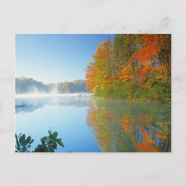 Carte Postale États-Unis, Virginie, Fairy Stone State Park 2 (Devant)