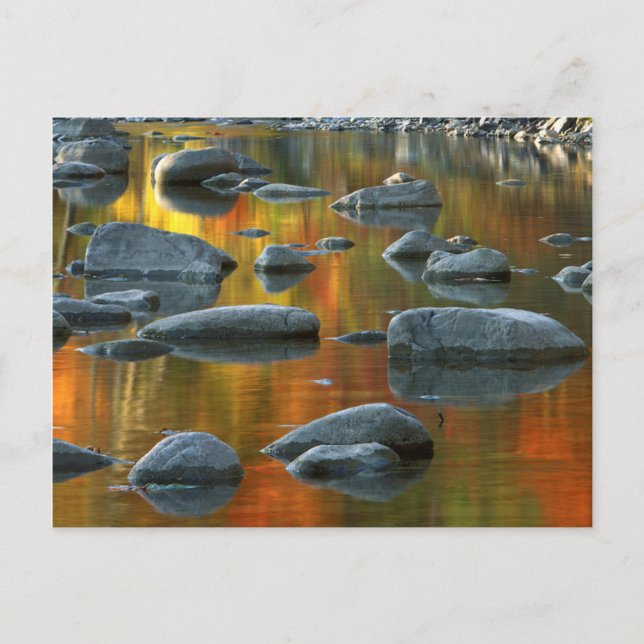 Carte Postale États-Unis, Virginie-Occidentale, Spruce Knob-Sene (Devant)