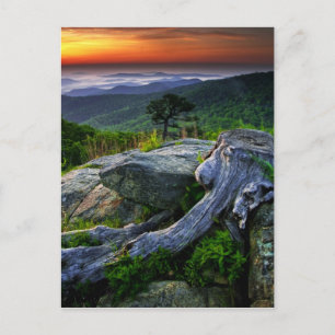 Carte Postale États-Unis, Virginie, Parc national de Shenandoah.