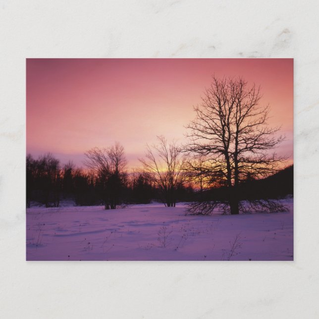 Carte Postale États-Unis, Virginie, Shenandoah National Park, (Devant)