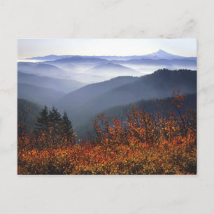Carte Postale États-Unis, Washington, Columbia River Gorge Natio