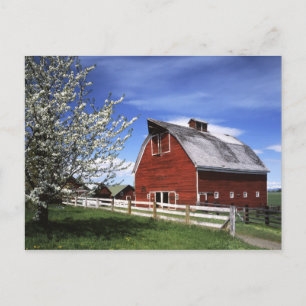 Carte Postale États-Unis, Washington, Ellensburg, grange