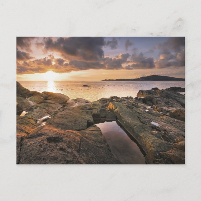 Carte Postale États-Unis, Washington, îles San Juan.  Un spectac (Devant)