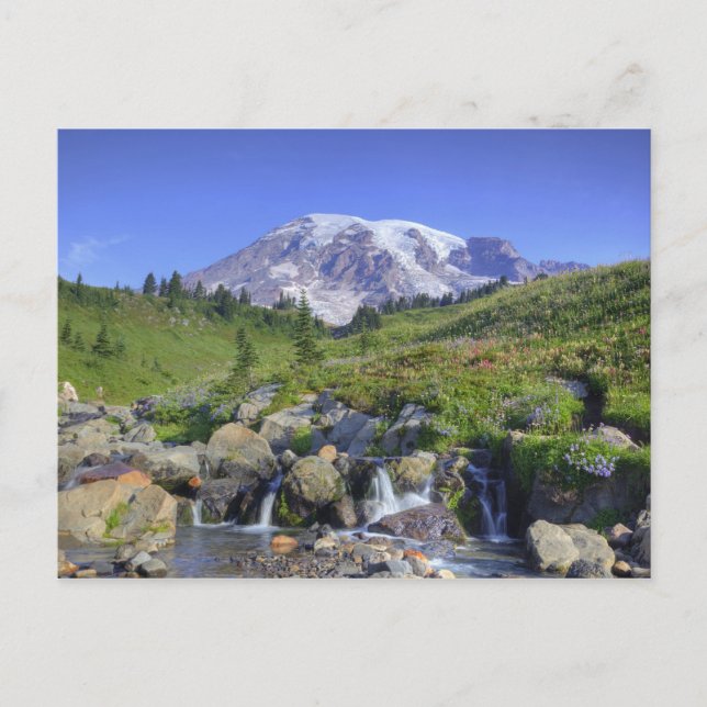 Carte Postale États-Unis, Washington, Mt. Rainier NP, Mt. Rainie (Devant)