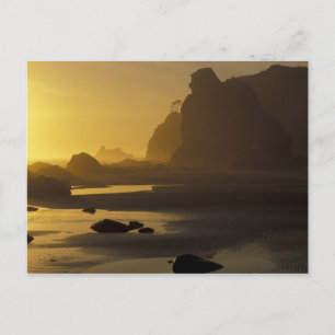 Carte Postale États-Unis, Washington, Parc national Olympique, C