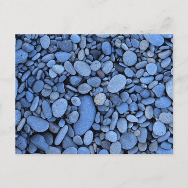 Carte Postale États-Unis, Washington, Parc National Olympique, L (Devant)