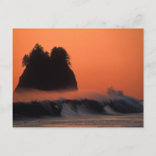 Carte Postale États-Unis, Washington, Parc national Olympique, M