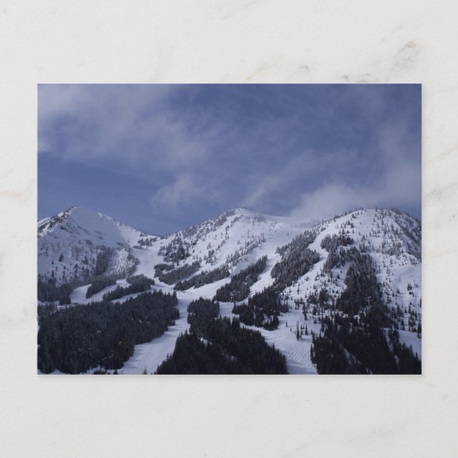 Carte Postale États-Unis, Washington, pistes de ski à (Devant)