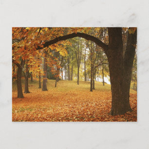 Carte Postale États-Unis, Washington, Spokane, Manito Park, Auto