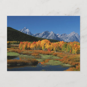Carte Postale États-Unis, Wyoming, Parc national de Grand Teton 