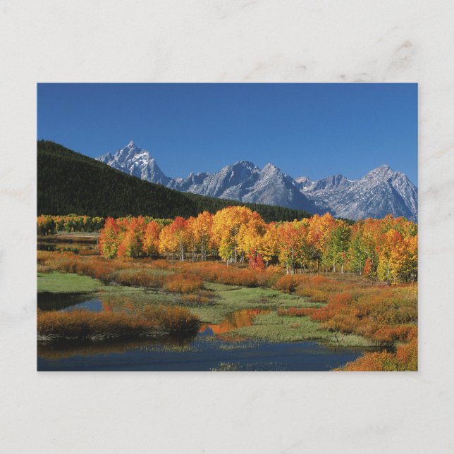 Carte Postale États-Unis, Wyoming, Parc national de Grand Teton  (Devant)