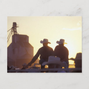 Carte Postale États-Unis, Wyoming, Pine Bluffs. Deux hommes seco